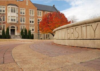 204801+"université paris 13 nord"