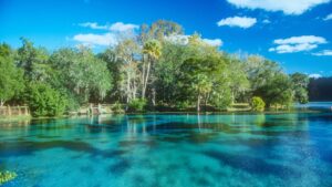 rick on the rocks florida dad blogger lifestyle travel