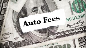 which of the following financial institutions typically have the highest fees?
