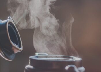 during which stage of a facial procedure does steaming occur