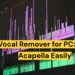 ai vocal remover for pc