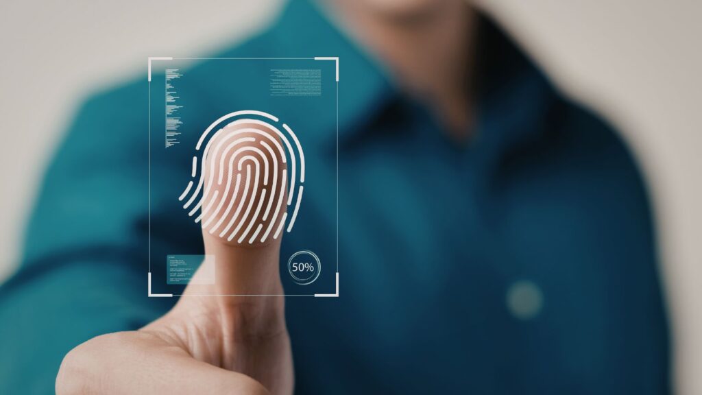 https://spin.city/en/user/bonus