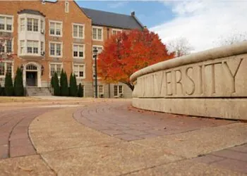 204801+"université paris 13 nord"