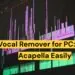 ai vocal remover for pc