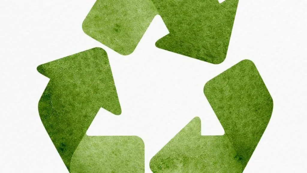 Never Just Tech: Find Out How These 3 Game-Changing Solutions Are Helping Danish Businesses Unlock Sustainability