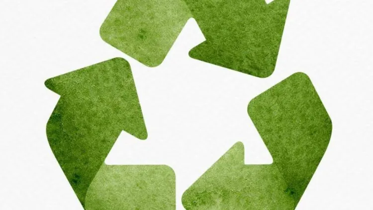 Never Just Tech: Find Out How These 3 Game-Changing Solutions Are Helping Danish Businesses Unlock Sustainability